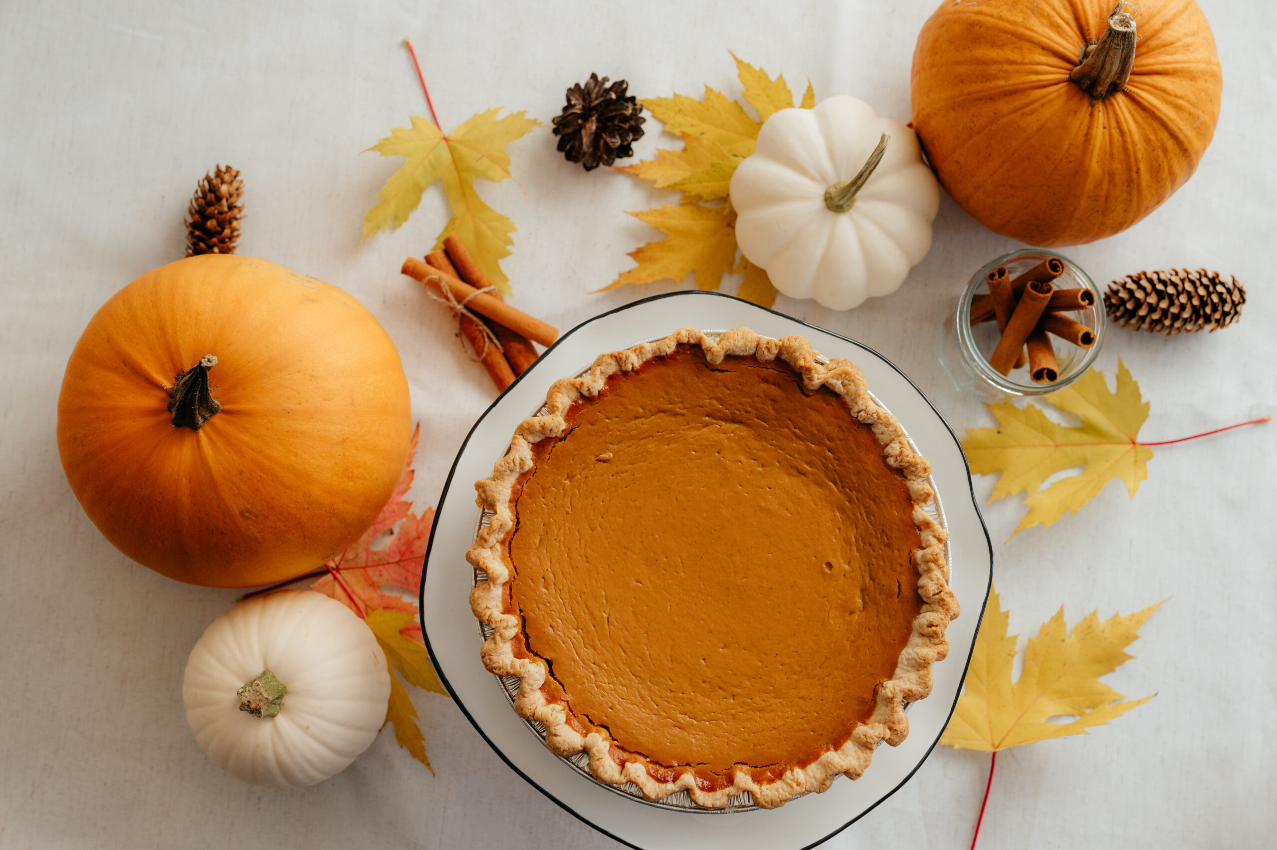 Pumpkin Pie - Image 2