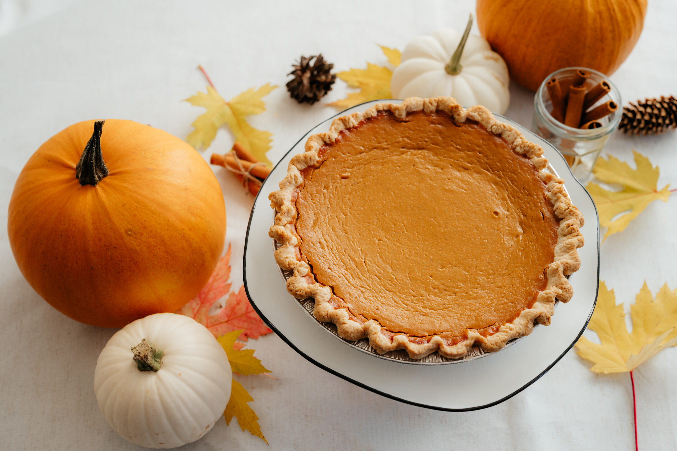 Pumpkin Pie - Image 4